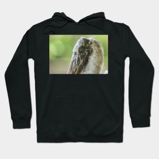 Up close with Wood stork Hoodie